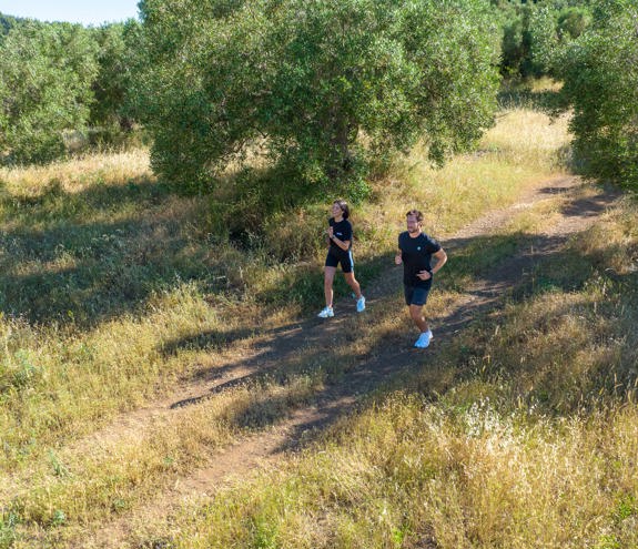 Sports Miraggio (7)